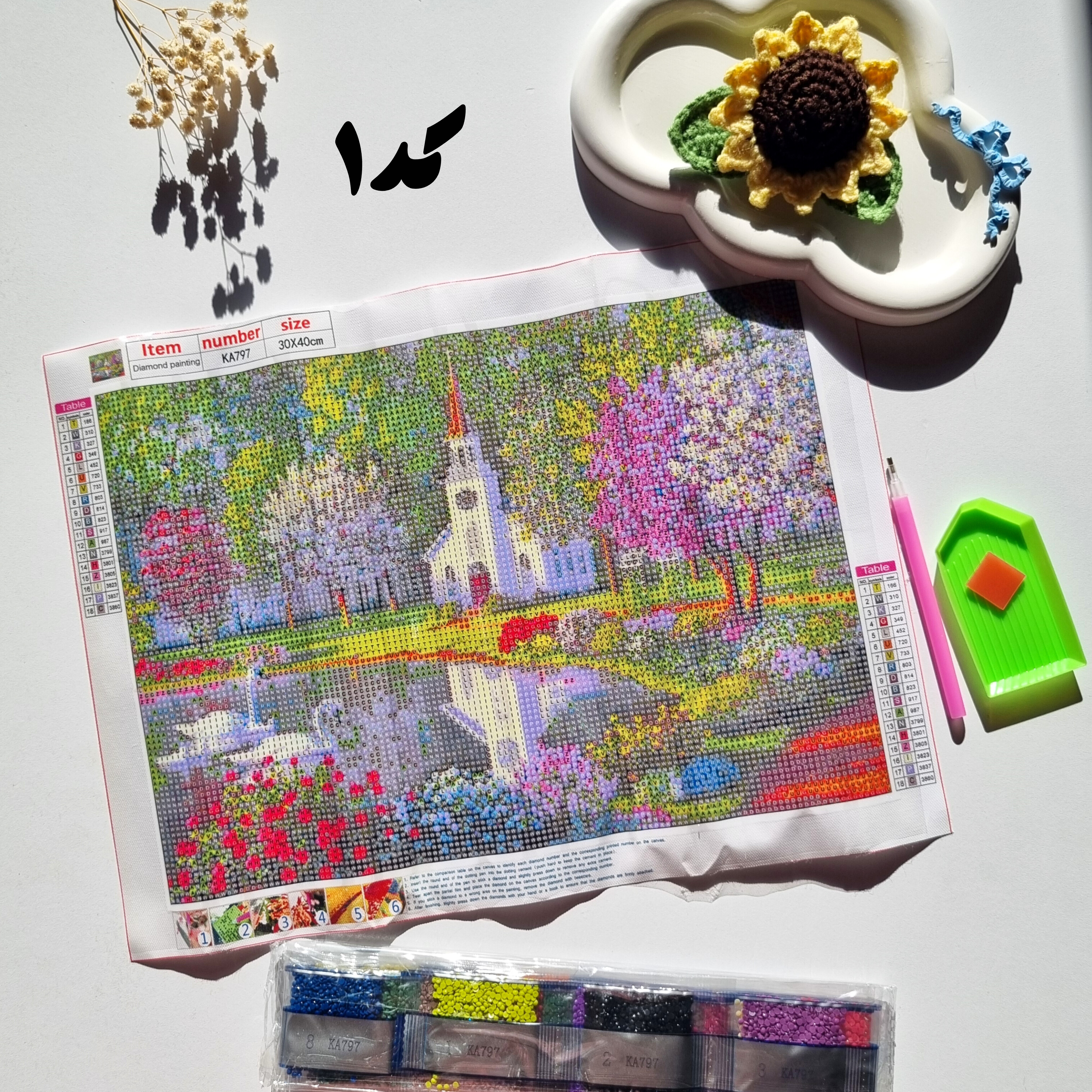 نقاشی الماسی بزرگسال سایز ۳۰×۴۰